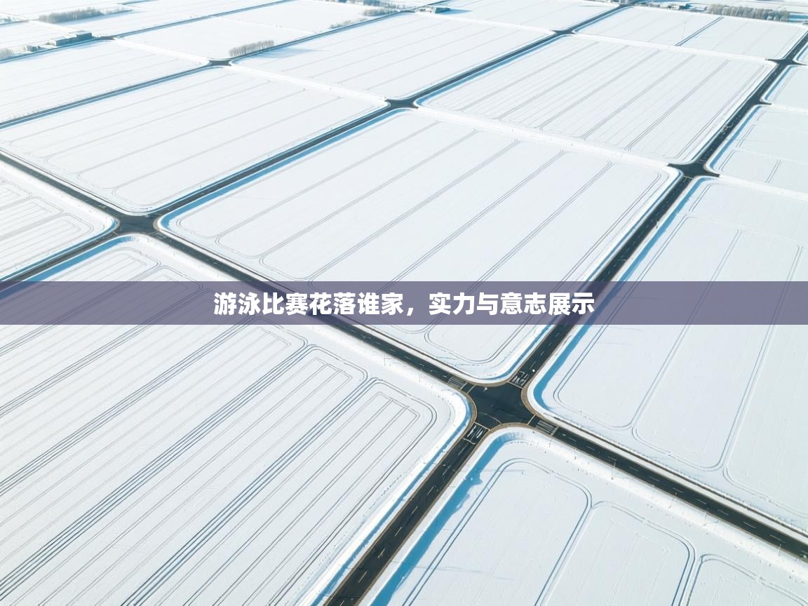 游泳比赛花落谁家，实力与意志展示  第1张