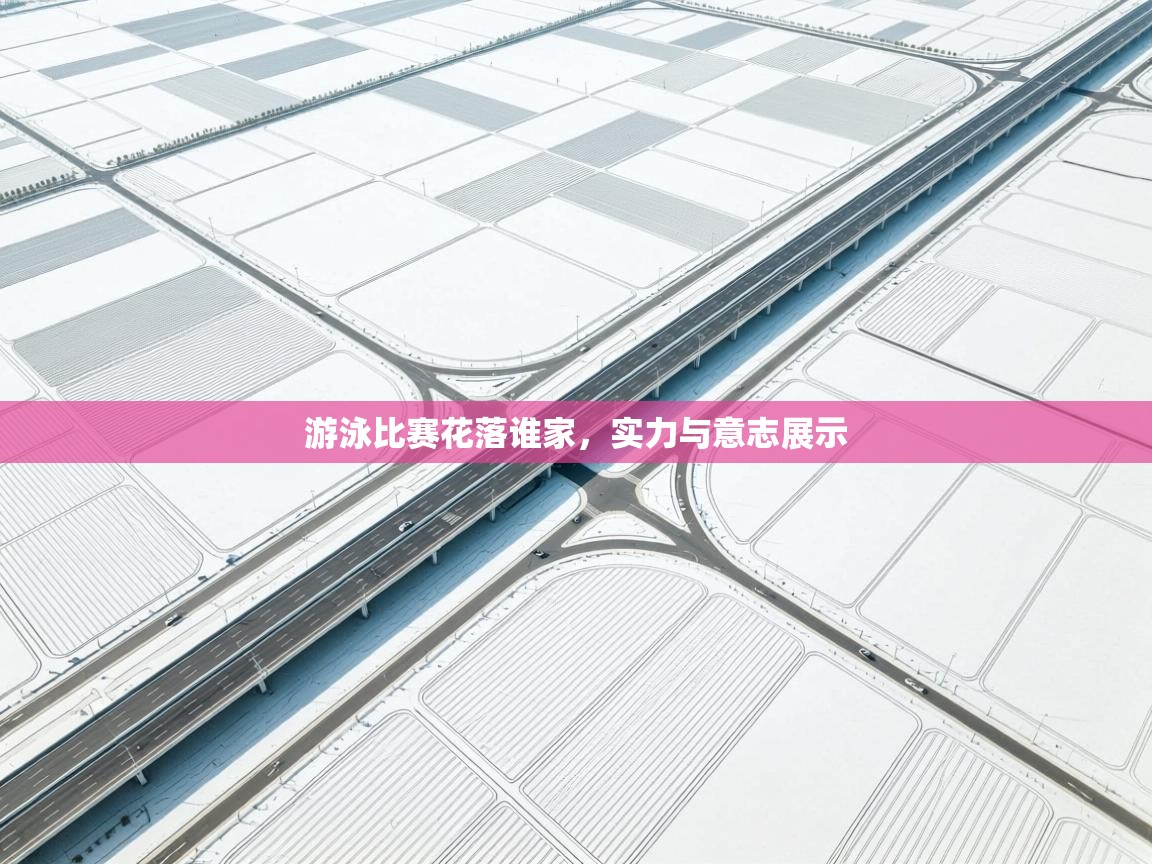 游泳比赛花落谁家，实力与意志展示  第2张