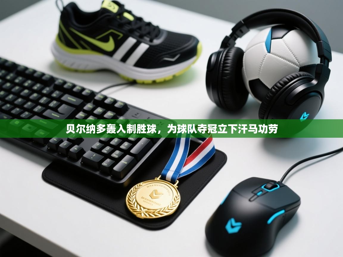 贝尔纳多轰入制胜球,为球队夺冠立下汗马功劳 第2张